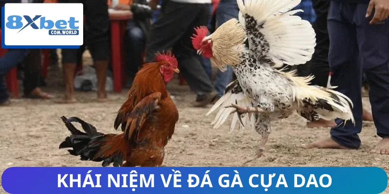 Đá Gà Cựa Dao | Luật Chơi Đến Chiến Thuật Bắt Kèo Hiệu Quả 1 Khái niệm loại hình cá độ đá gà cựa dao